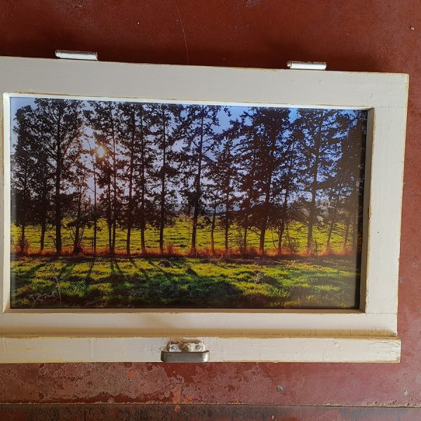 20201110_141733_11zon