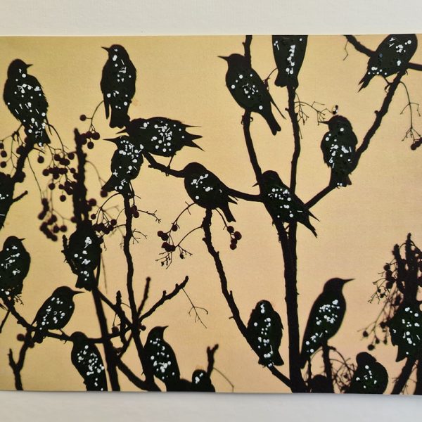 20210309_115812_11zon