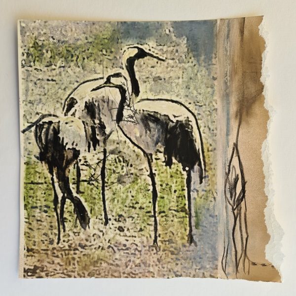 20210309_115928_11zon