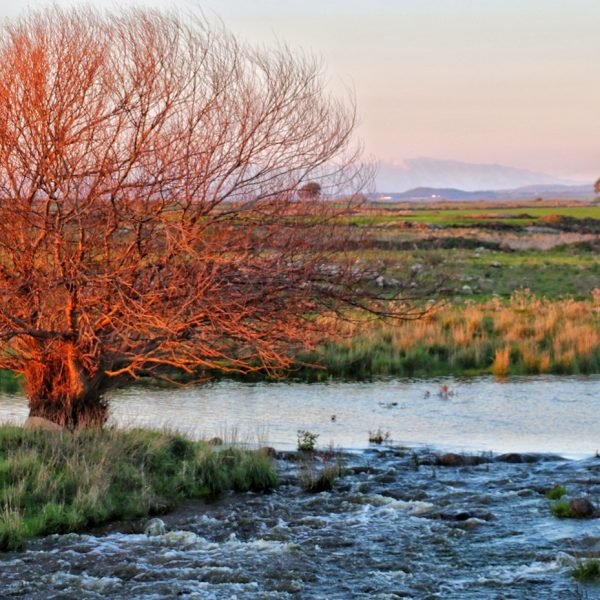 IMG_6025-01-01_11zon